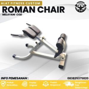 Alat Fitness Custom Roman Chair