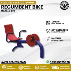 Recumbent Bike